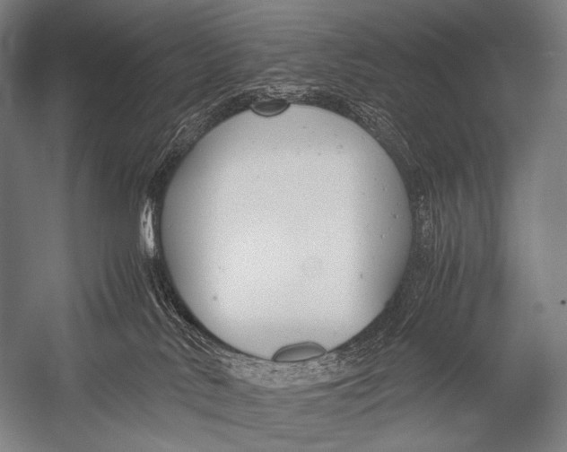 X0000052560042200507221447