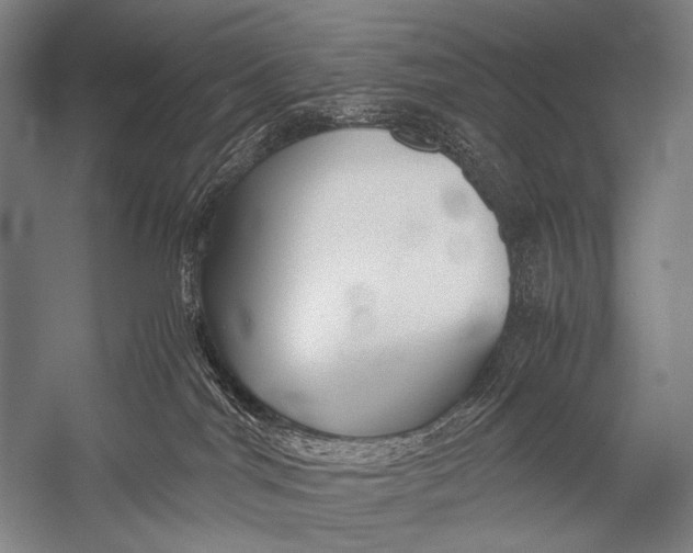 X0000052560044200507221447