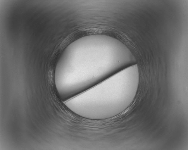 X0000052560045200507221447
