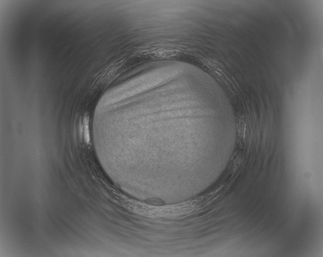X0000052560046200507221447