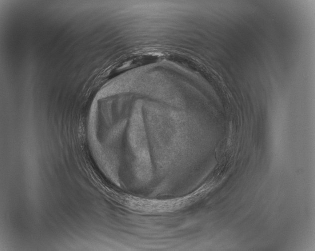 X0000052560048200507221447