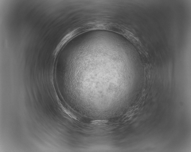 X0000052560051200507221446