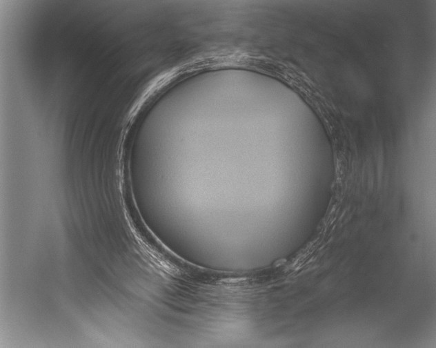 X0000052560054200507221446