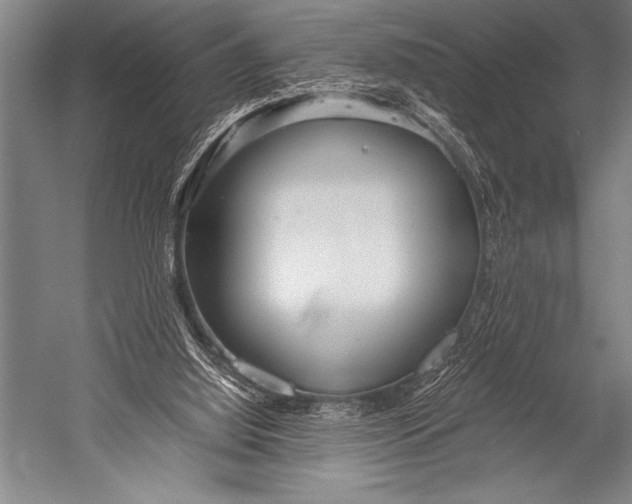 X0000052560060200507221446
