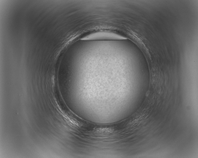 X0000052560063200507221446