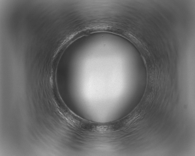 X0000052560064200507221446