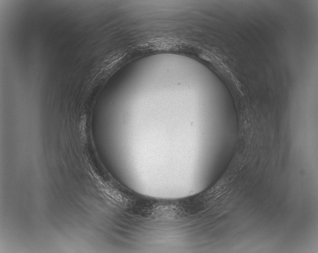 X0000052560066200507221447