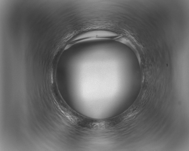 X0000052560068200507221447
