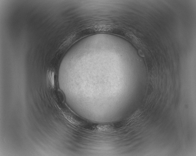 X0000052560070200507221447