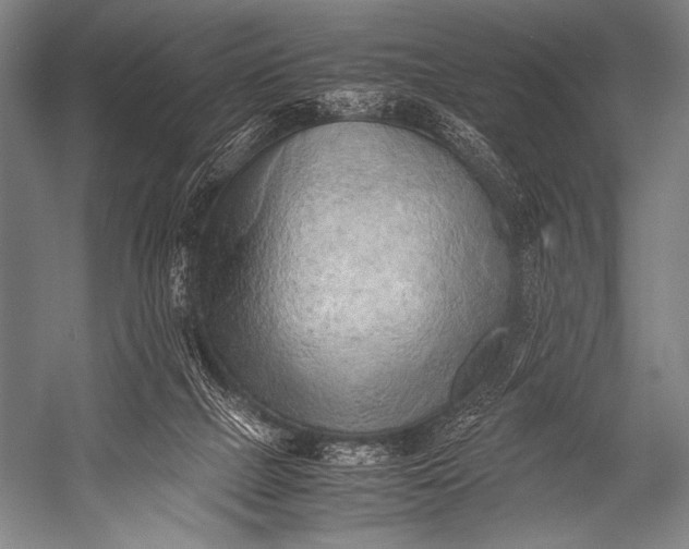 X0000052560073200507221447