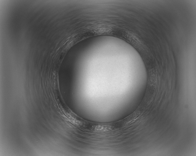 X0000052560077200507221447