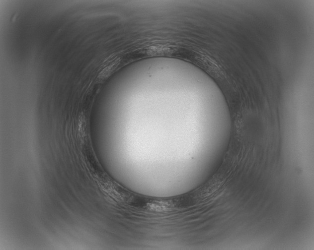 X0000052560079200507221447