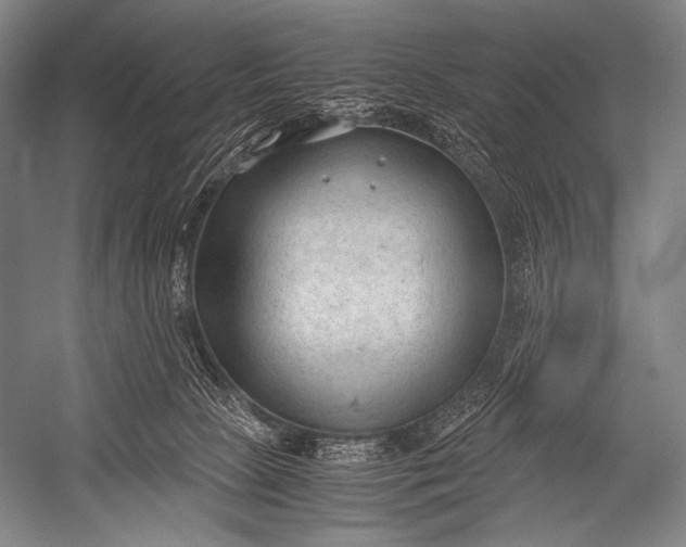 X0000052560081200507221447