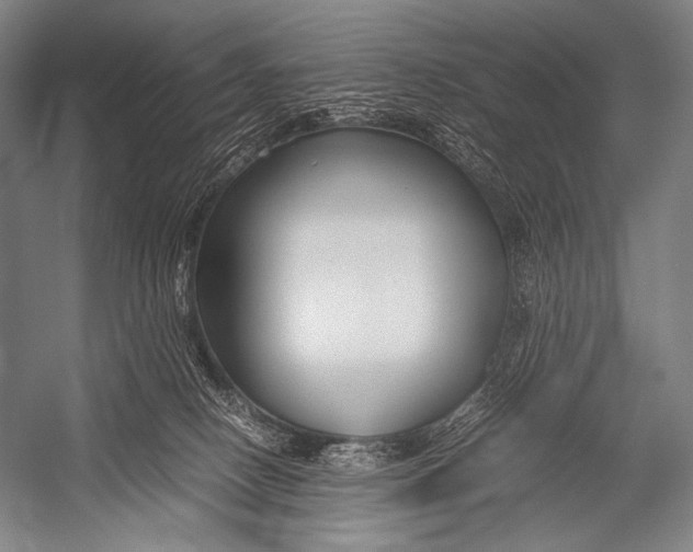 X0000052560082200507221447