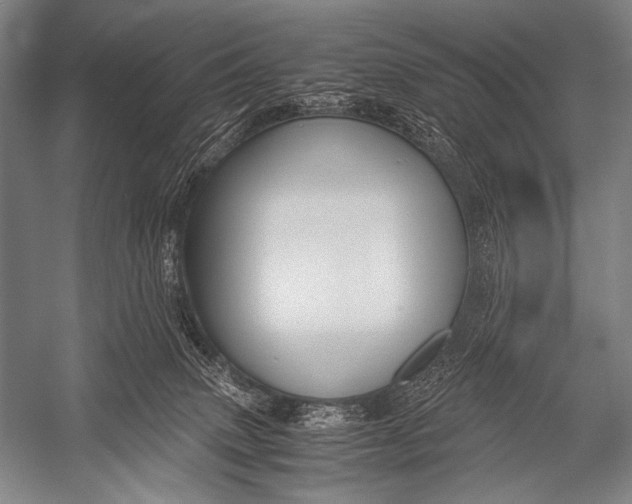 X0000052560083200507221447