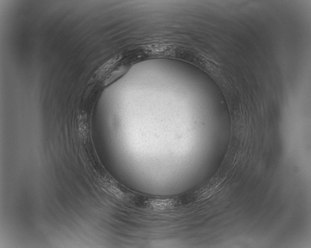 X0000052560085200507221447