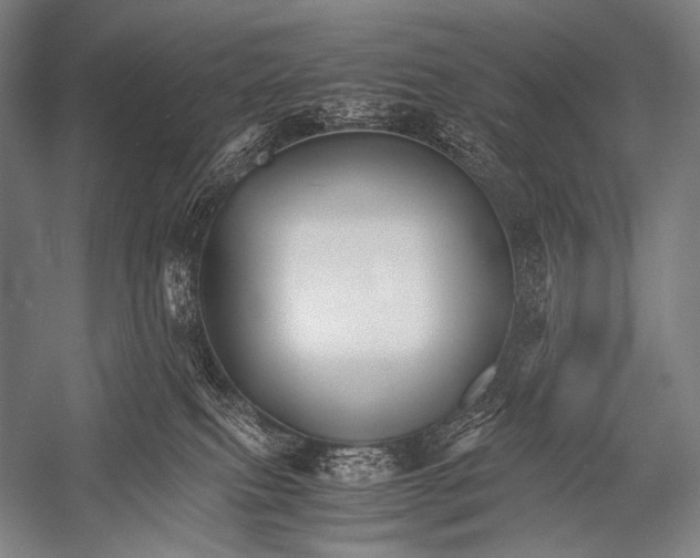 X0000052560087200507221447