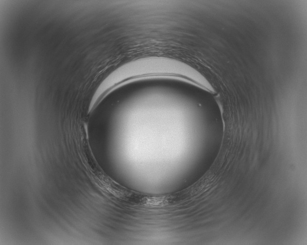 X0000052560088200507221447