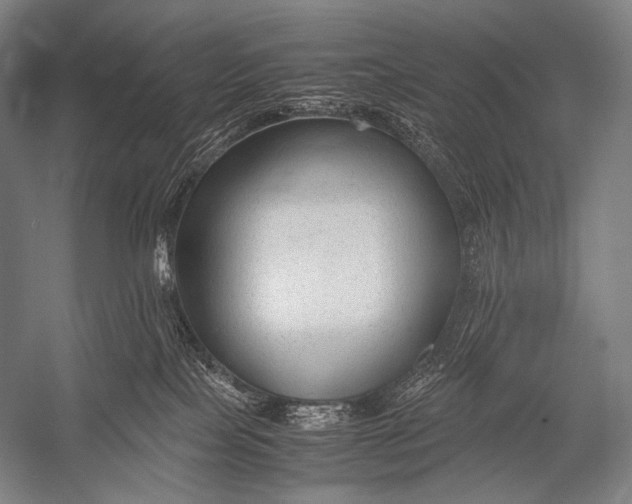 X0000052560089200507221447