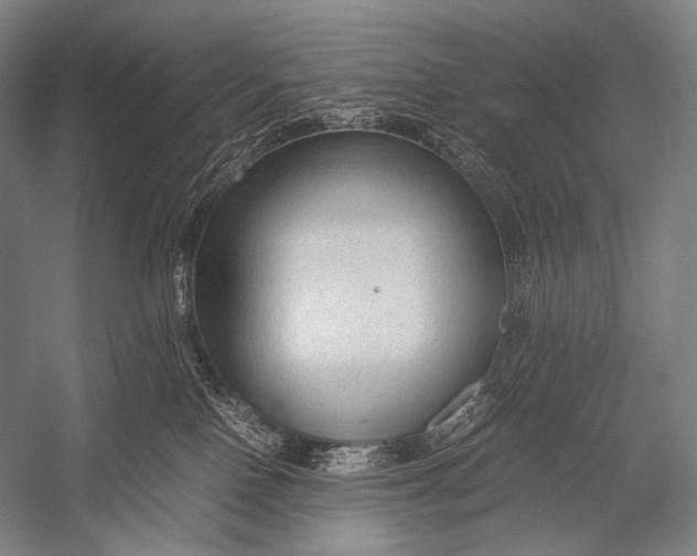 X0000052560090200507221447