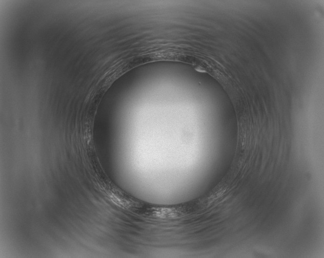X0000052560091200507221447