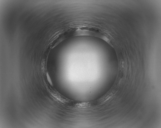 X0000052560092200507221447