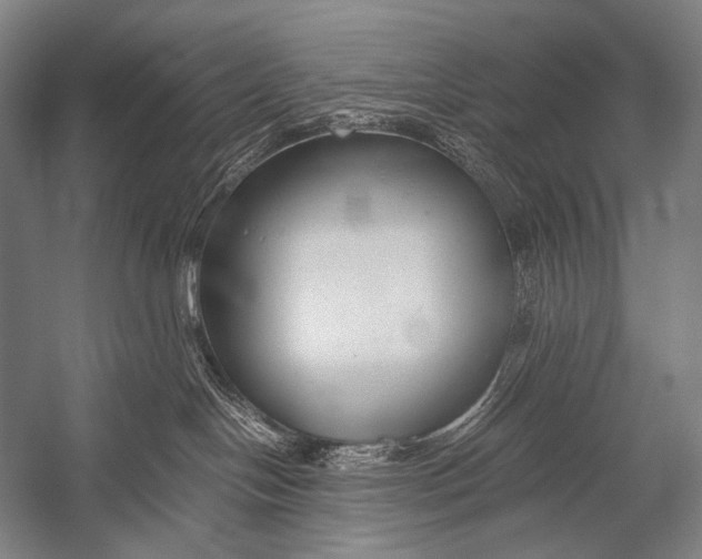 X0000052560094200507221447