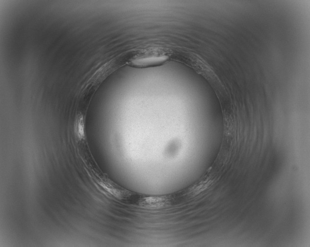 X0000052560095200507221447