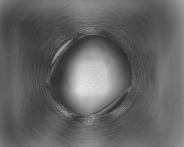 X0000052560096200507221447