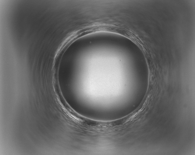 X0000052560101200507221446