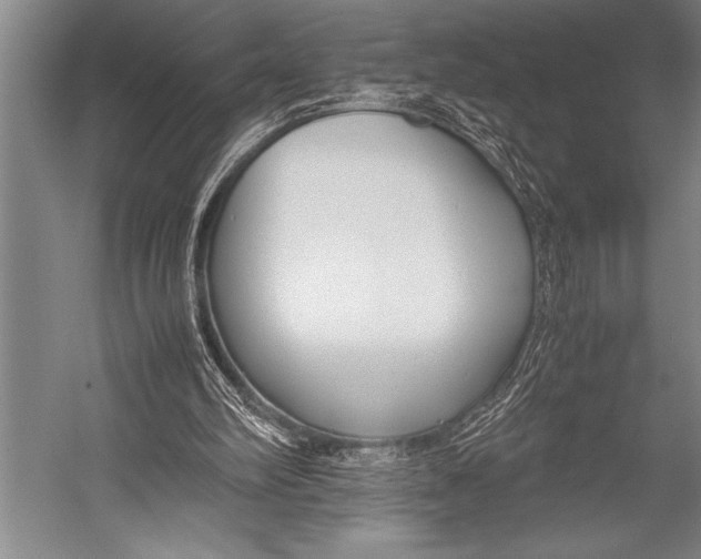 X0000052560102200507221446