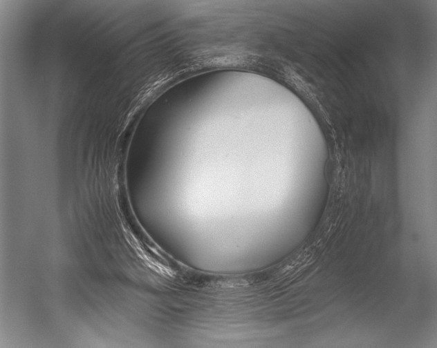 X0000052560106200507221446