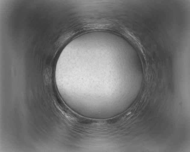 X0000052560107200507221446