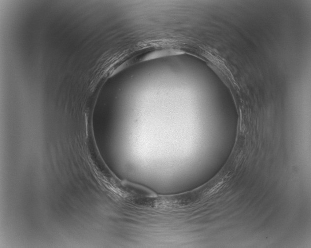 X0000052560109200507221446