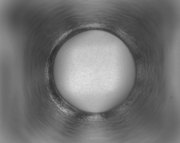X0000052560112200507221446