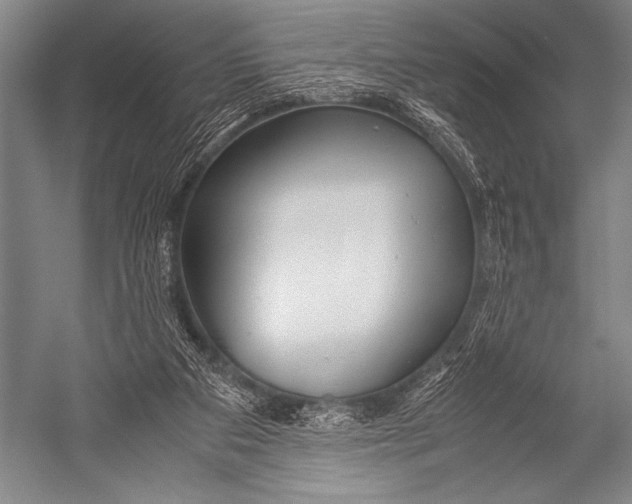 X0000052560113200507221446