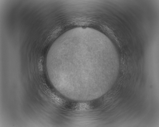X0000052560114200507221446