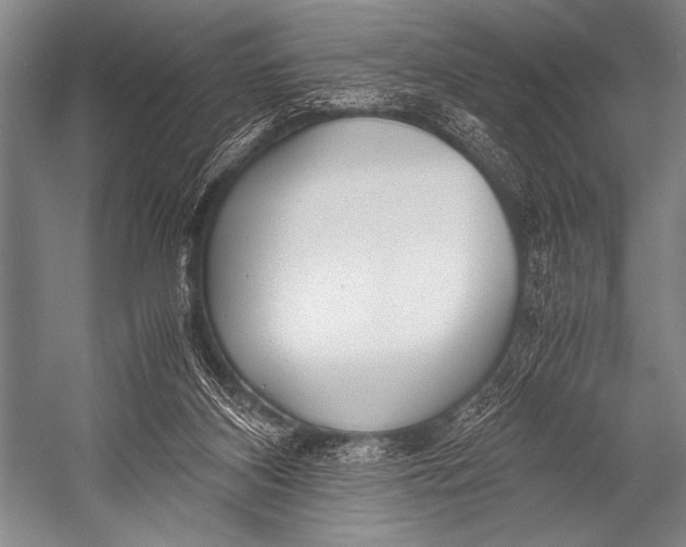 X0000052560116200507221446