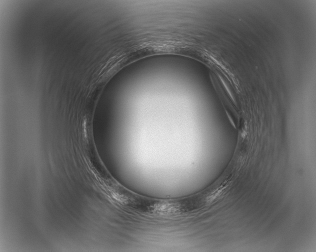 X0000052560117200507221446