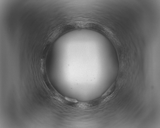 X0000052560121200507221446