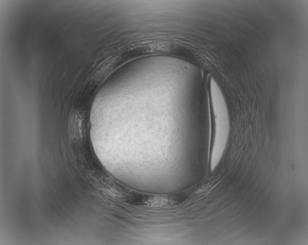 X0000052560123200507221446