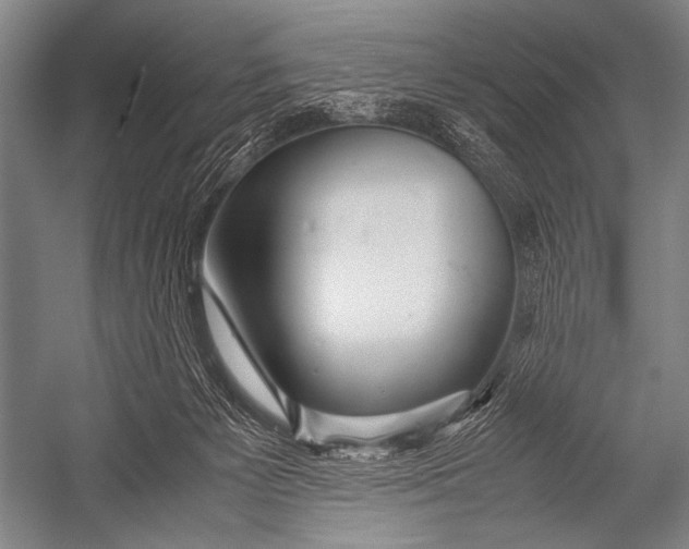 X0000052560125200507221446