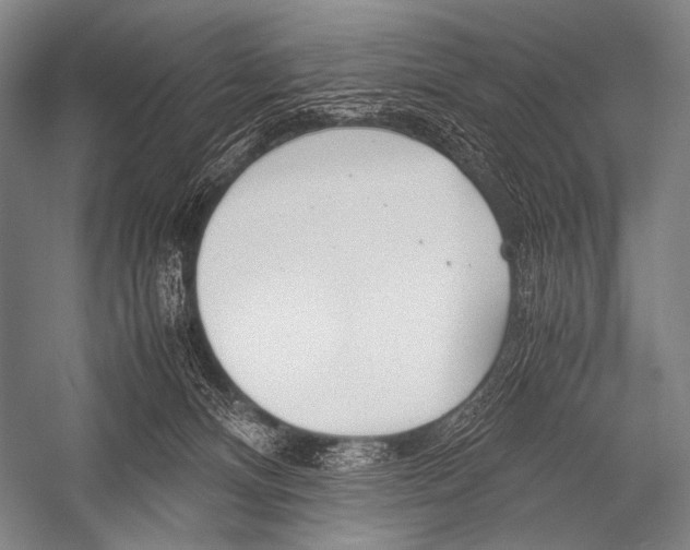 X0000052560128200507221446