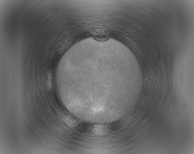 X0000052560130200507221446