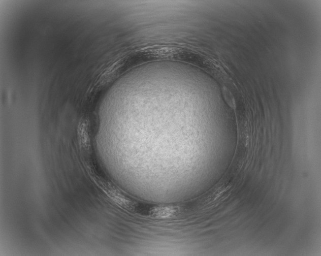 X0000052560131200507221446