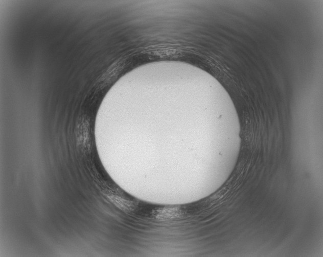 X0000052560132200507221446