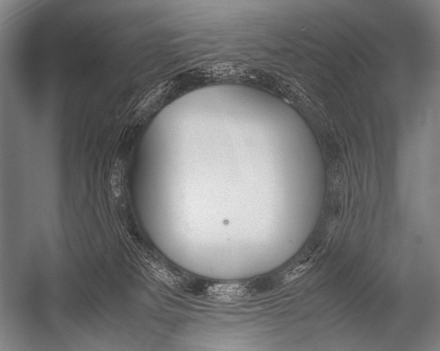 X0000052560133200507221446