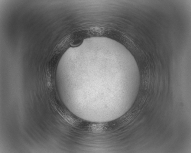 X0000052560134200507221446