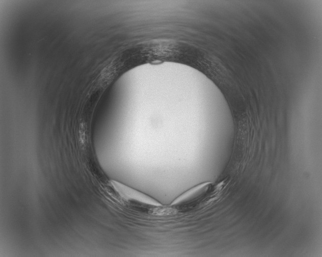 X0000052560135200507221446