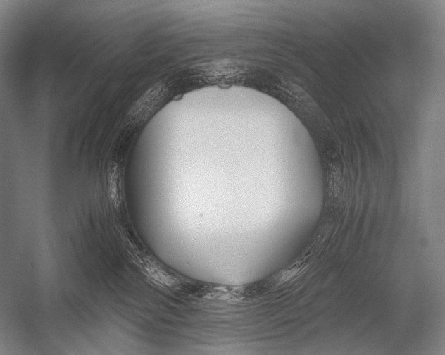 X0000052560138200507221446